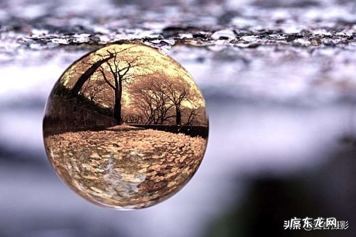 春天的美景拍摄方法 有创意的春天摄影构图技巧