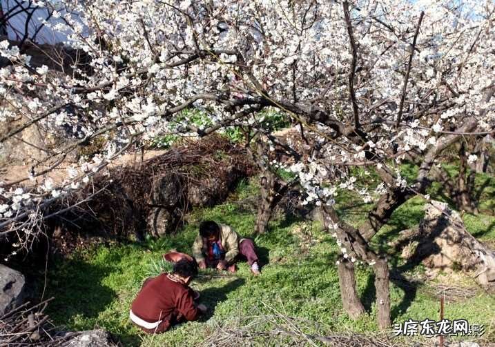 春天的美景拍摄方法 有创意的春天摄影构图技巧