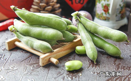 蚕豆的中医功效作用
