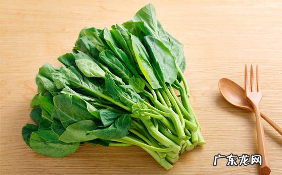 菠菜的中医功效作用及食用注意事项