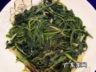 蒲公英怎么吃 新鲜蒲公英的吃法大全