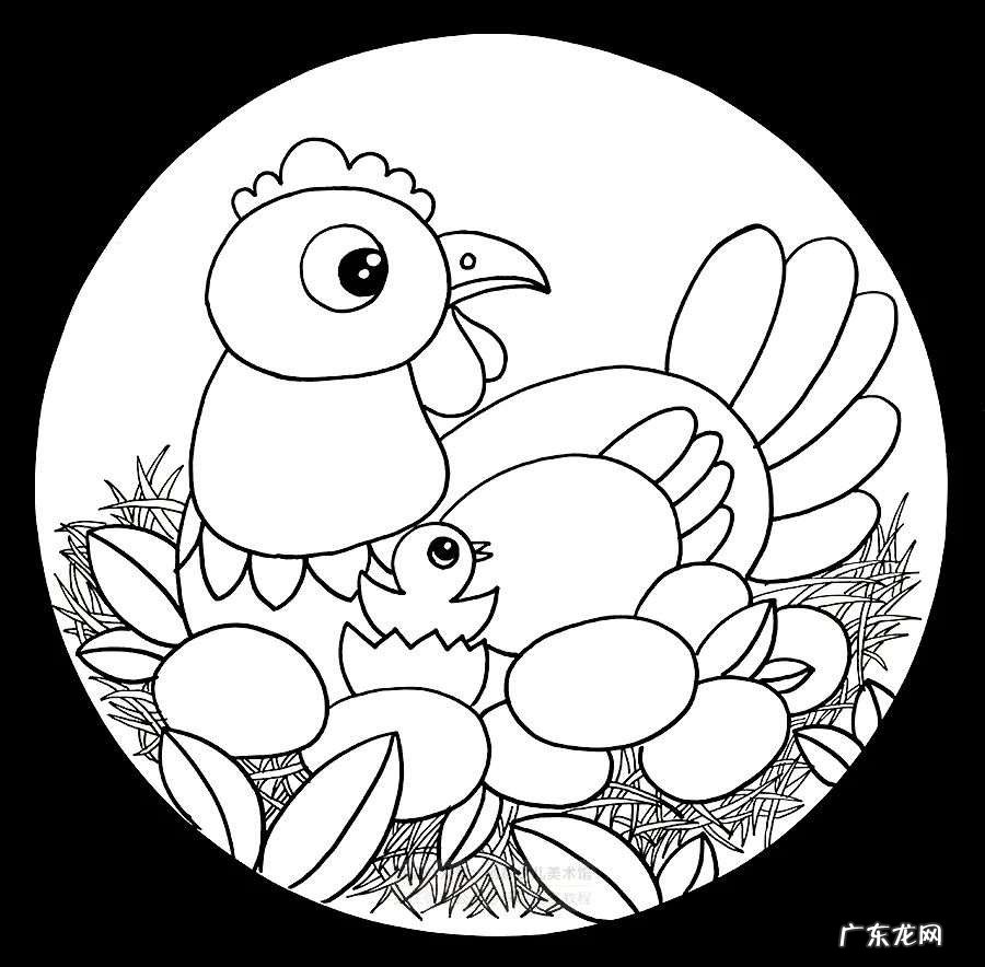 儿童线描绘画小鸡教程 小鸡怎么画简单又有特点