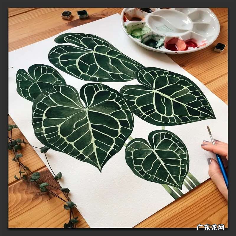 手绘树叶的步骤流程 如何手绘将不同的树叶画进画里