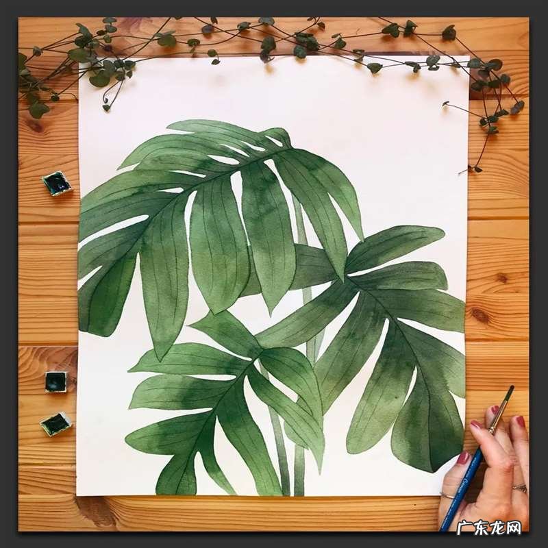 手绘树叶的步骤流程 如何手绘将不同的树叶画进画里