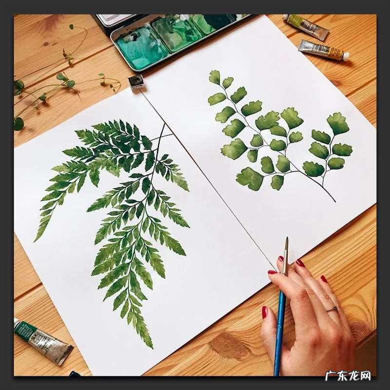 手绘树叶的步骤流程 如何手绘将不同的树叶画进画里