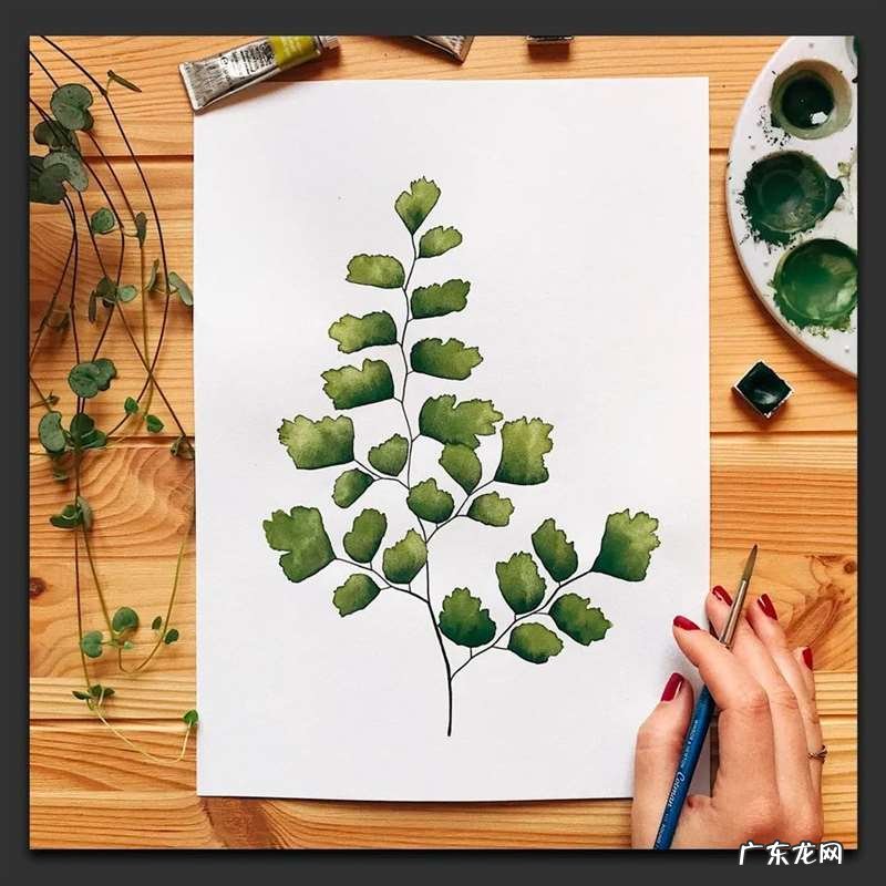 手绘树叶的步骤流程 如何手绘将不同的树叶画进画里