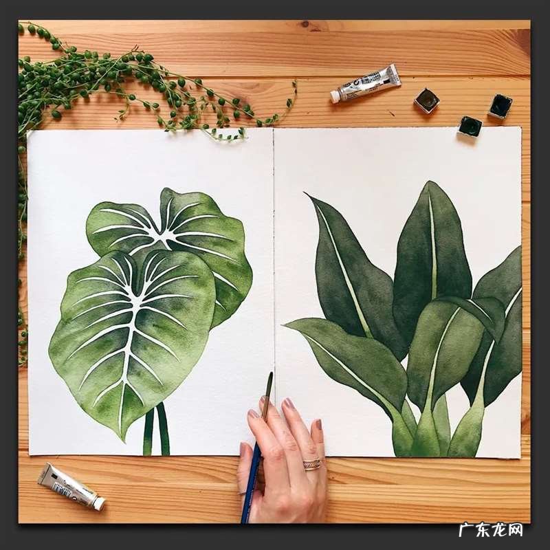 手绘树叶的步骤流程 如何手绘将不同的树叶画进画里
