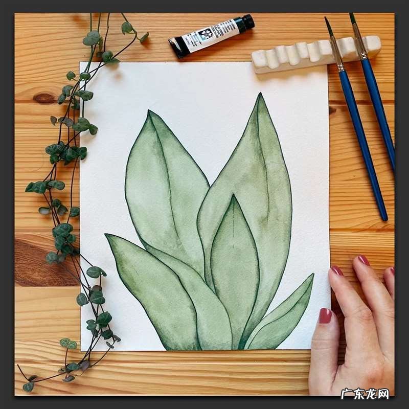 手绘树叶的步骤流程 如何手绘将不同的树叶画进画里