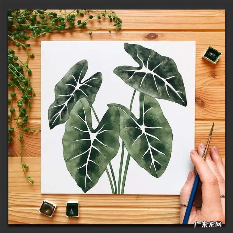 手绘树叶的步骤流程 如何手绘将不同的树叶画进画里