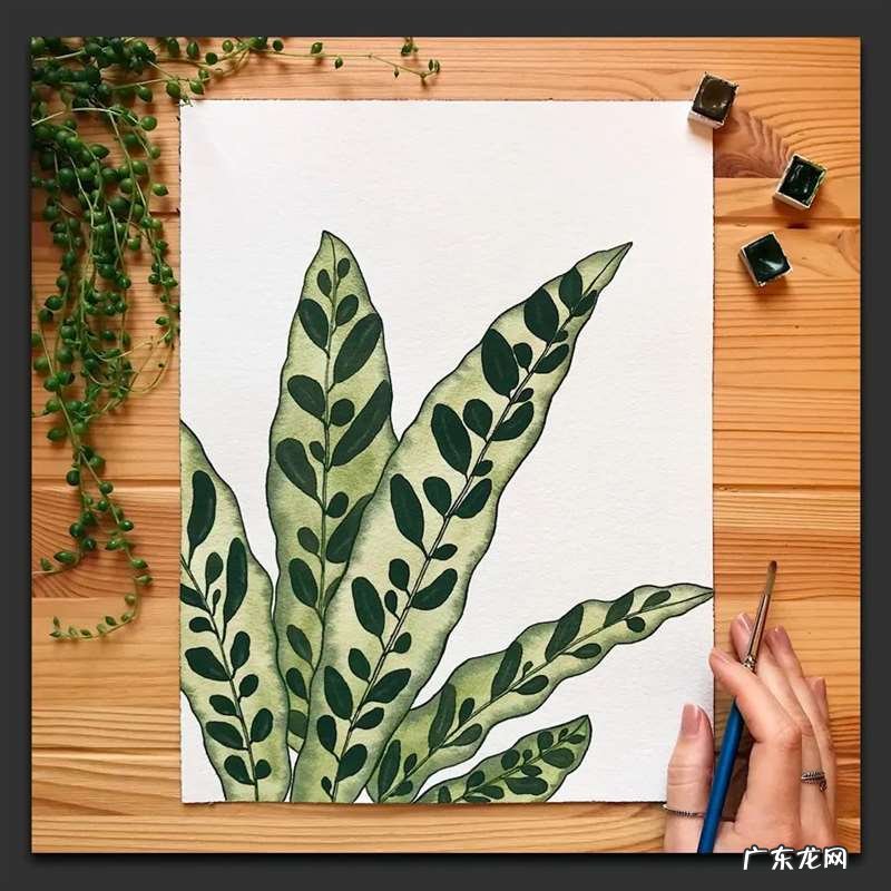 手绘树叶的步骤流程 如何手绘将不同的树叶画进画里