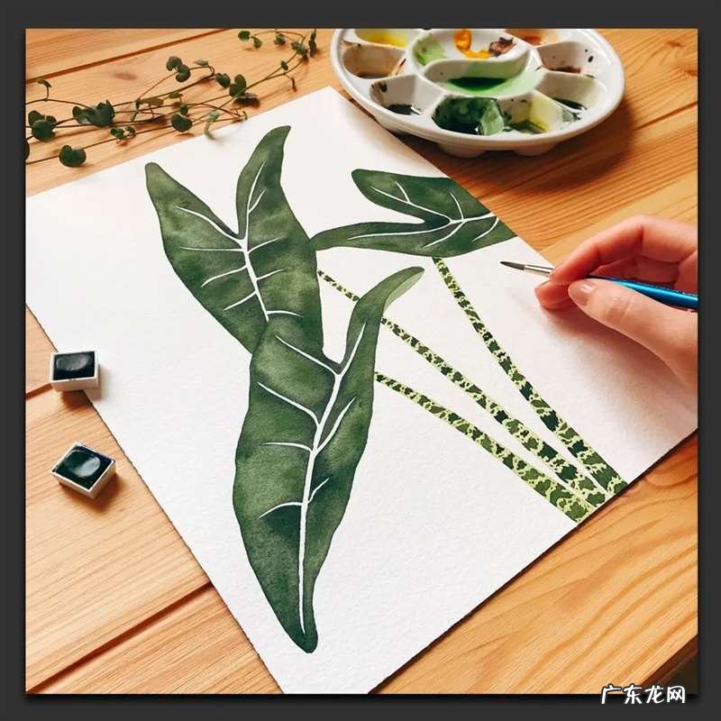 手绘树叶的步骤流程 如何手绘将不同的树叶画进画里