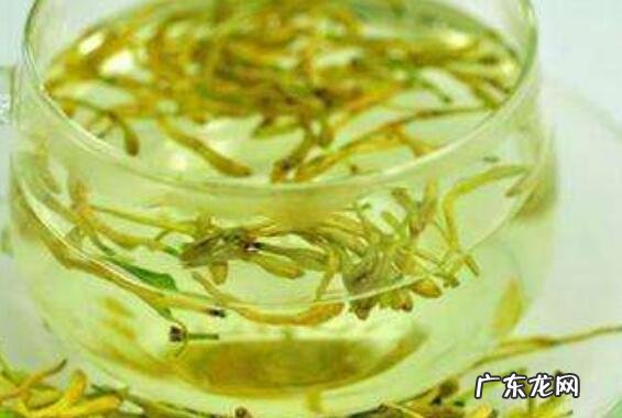 女人喝金银花的功效与作用