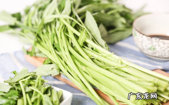 空心菜 蕹菜在中医里的功效作用