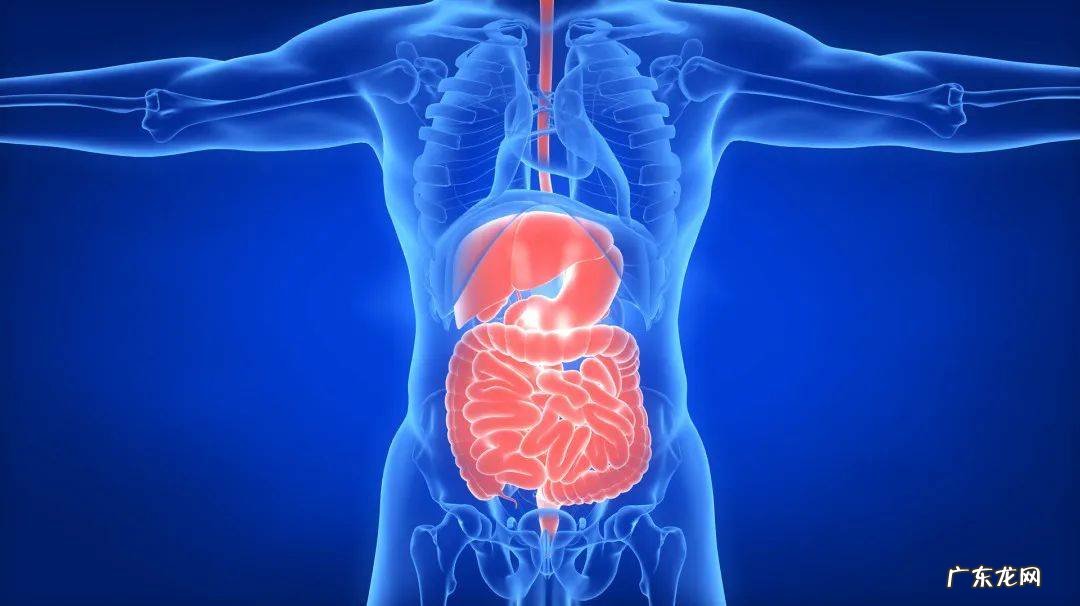 便秘的正确解决方法