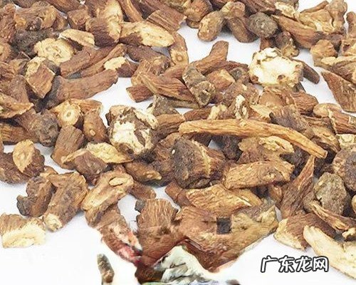 蒲公英的根怎么吃 蒲公英根的吃法技巧教程