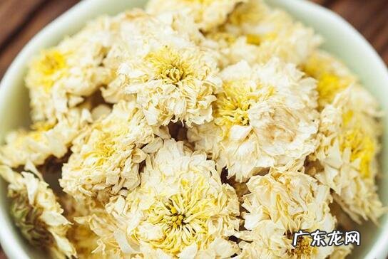 贡菊的作用与功效 喝贡菊的好处