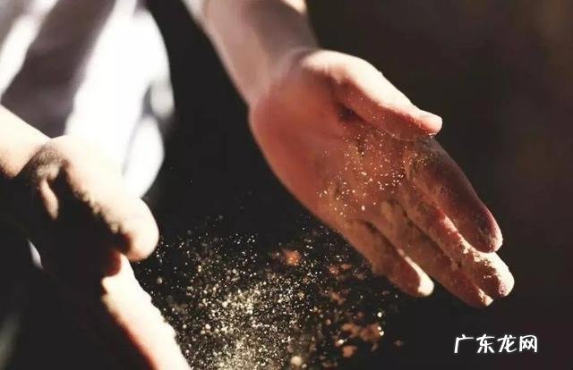 两三天没有打扫就有很多毛毛 屋里打扫卫生需要哪些工具