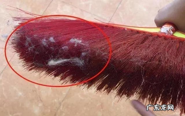 两三天没有打扫就有很多毛毛 屋里打扫卫生需要哪些工具
