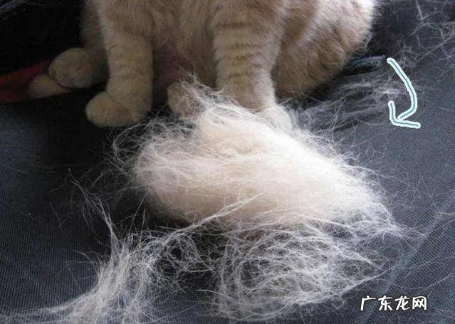 两三天没有打扫就有很多毛毛 屋里打扫卫生需要哪些工具