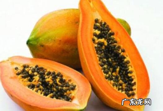 吃木瓜的禁忌有哪些 木瓜相克食物及禁忌