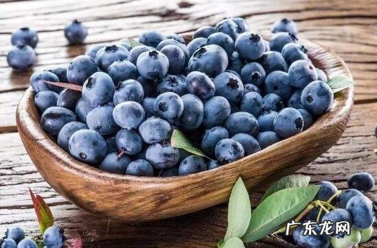 蓝莓怎么洗才干净 蓝莓的正确清洗方法