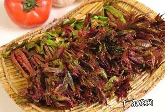 怎样腌香椿芽咸菜 香椿芽的腌制方法窍门