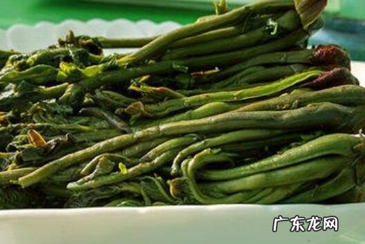 香椿的腌制和保存方法