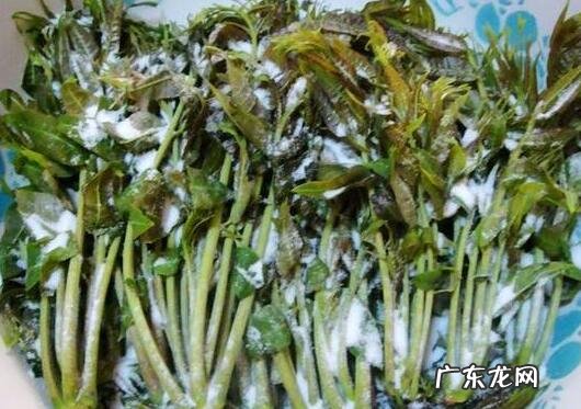 香椿的腌制和保存方法