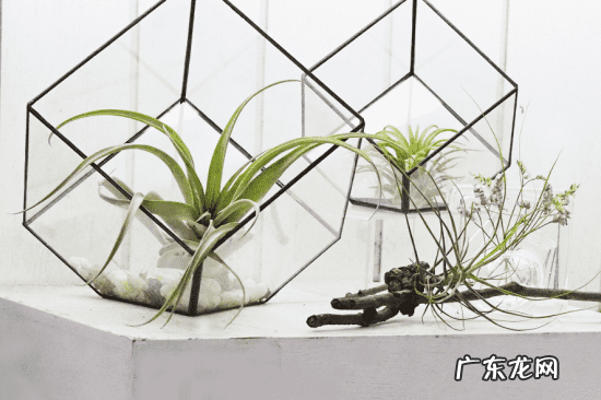 秋季解乏日常生活小建议