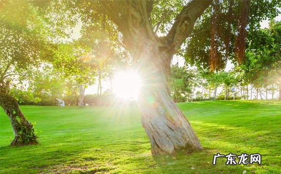 夏天治寒性痛经