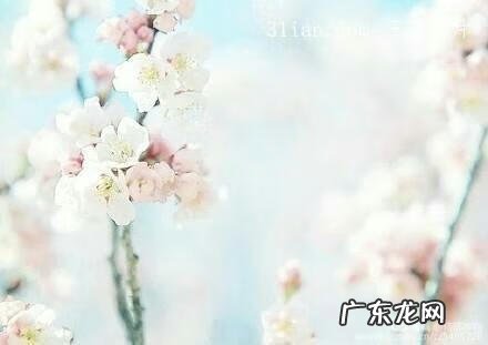 丧事顺口溜 风水先生下葬顺口溜