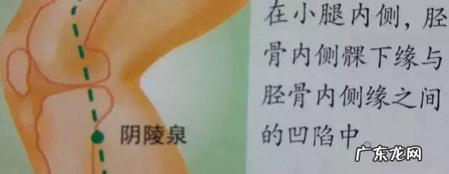 实用的人体36个穴位指南