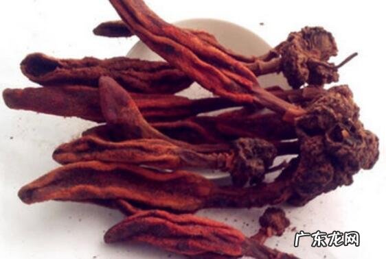 御苁蓉的功效与作用及禁忌