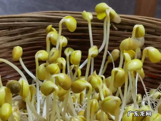 囤粮食囤什么好 你觉得囤粮食最好囤什么