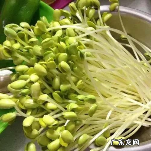 囤粮食囤什么好 你觉得囤粮食最好囤什么
