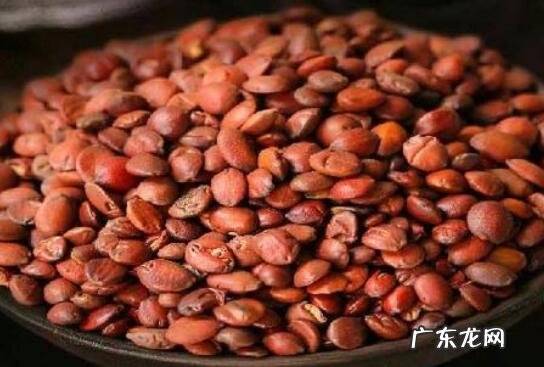 酸枣仁长期喝有啥危害 什么人不适合吃酸枣仁