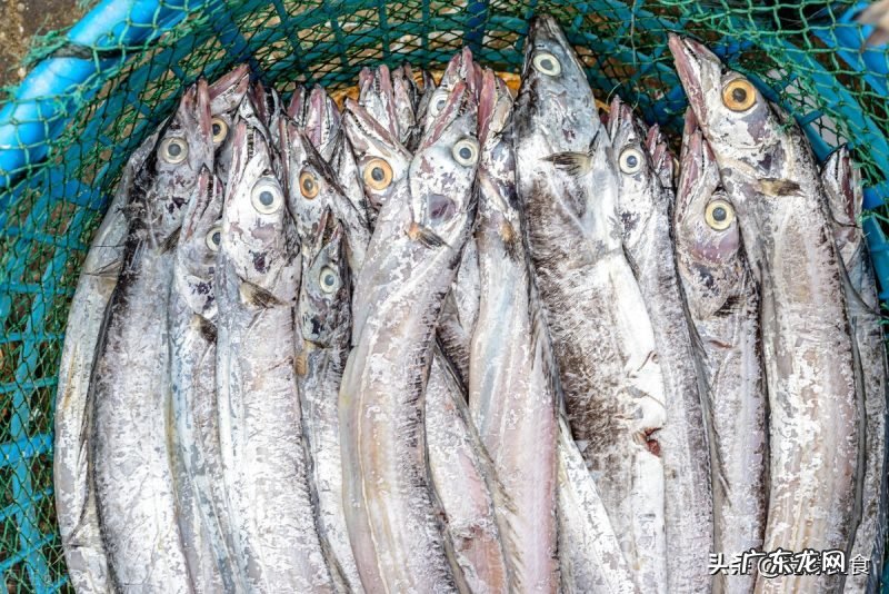 挑选新鲜带鱼的小技巧 带鱼怎么做好吃又简单