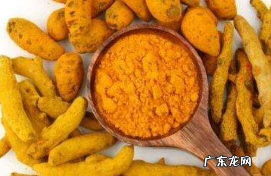 姜黄粉的功效与作用 姜黄粉的食用方法