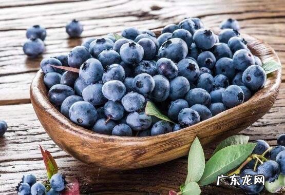 蓝莓怎么洗才干净 蓝莓的清洗方法