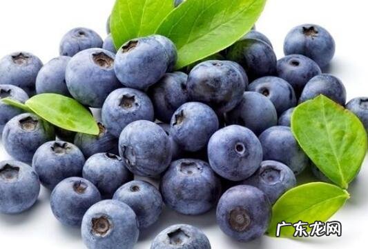 蓝莓怎么洗才干净 蓝莓的清洗方法