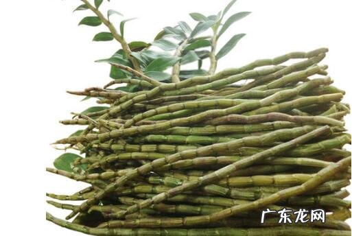 新鲜石斛怎么吃 新鲜石斛的食用方法