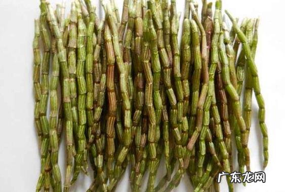 新鲜石斛怎么吃 新鲜石斛的食用方法