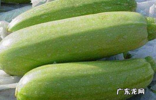 西葫芦与嫩南瓜的区别