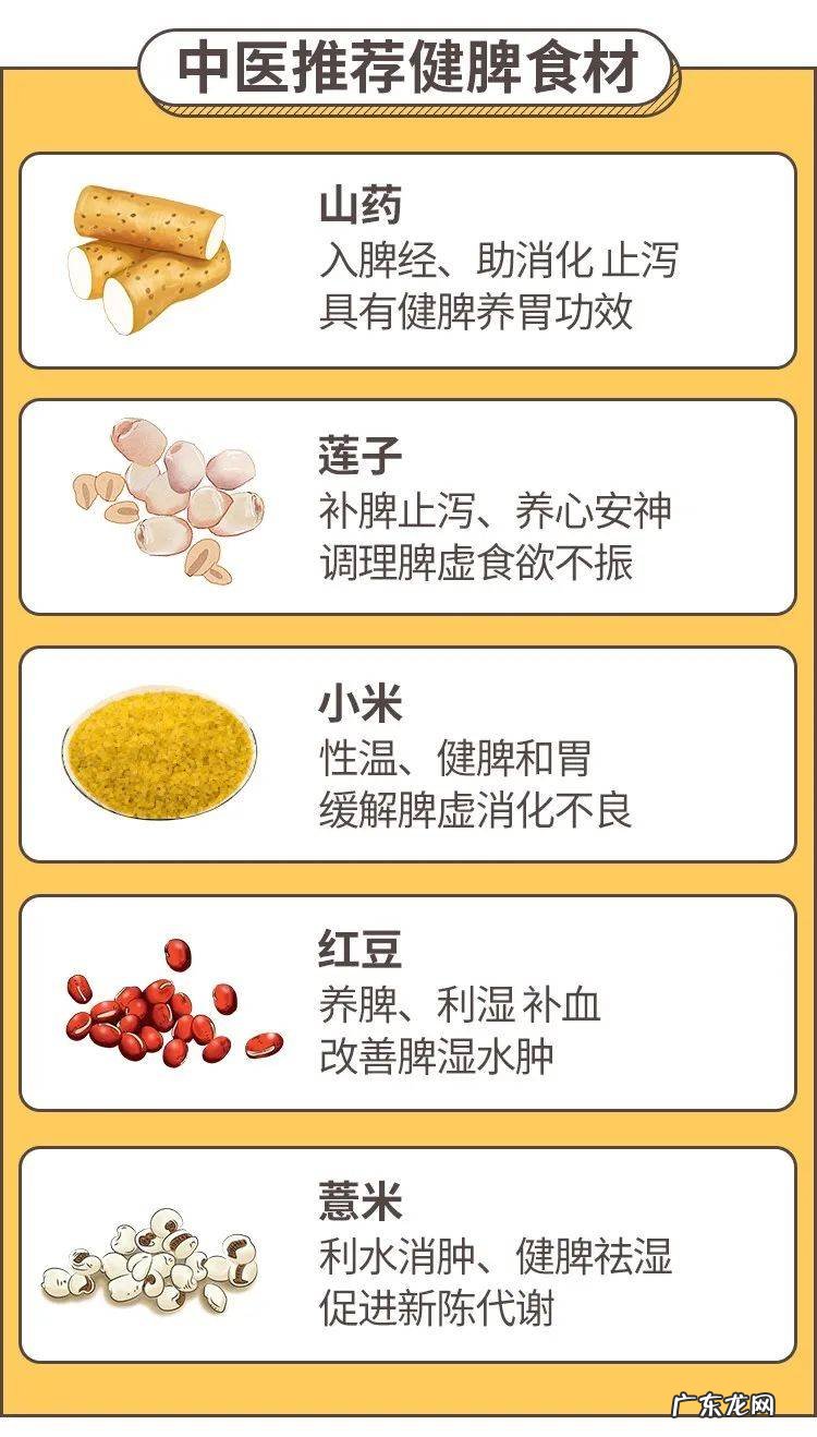 脾虚引起的肚胀、不消化怎么调养？