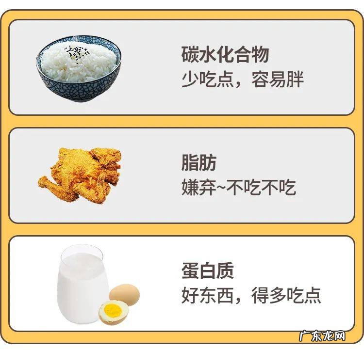 怎样合理补充蛋白质能健脑、提高免疫力?