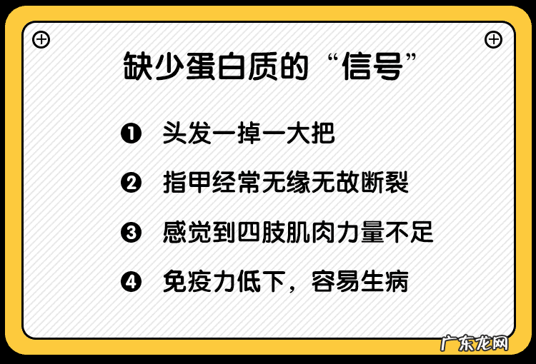 怎样合理补充蛋白质能健脑、提高免疫力?