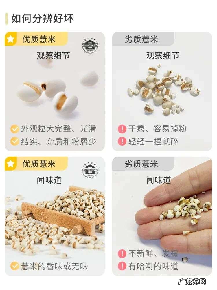 夏天薏米怎么吃不寒凉又养生