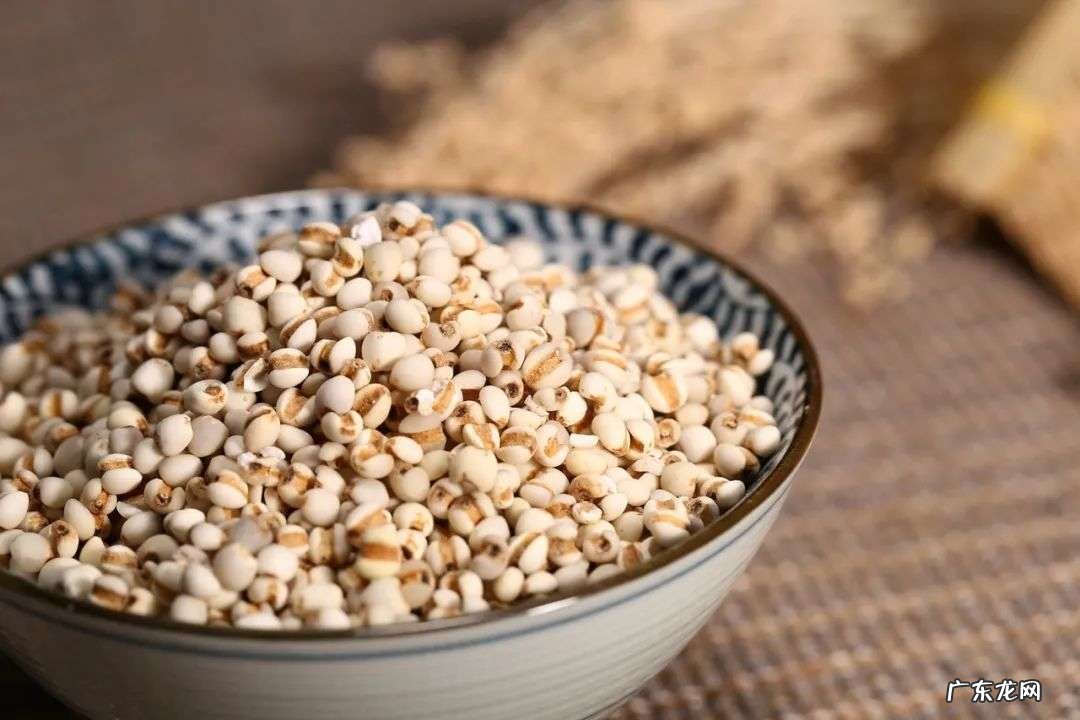 夏天薏米怎么吃不寒凉又养生