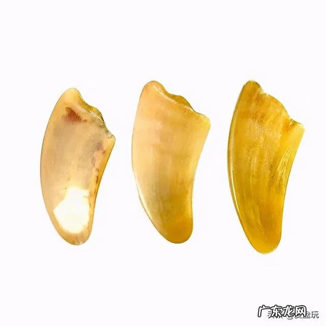 牛角断了牛还能活吗 木头的牛摆件突然牛角断了