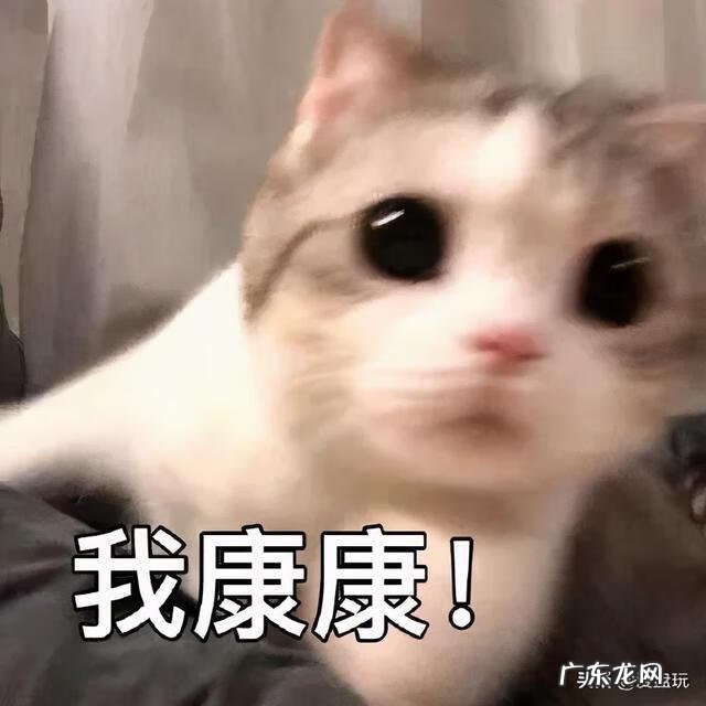 牛角断了牛还能活吗 木头的牛摆件突然牛角断了